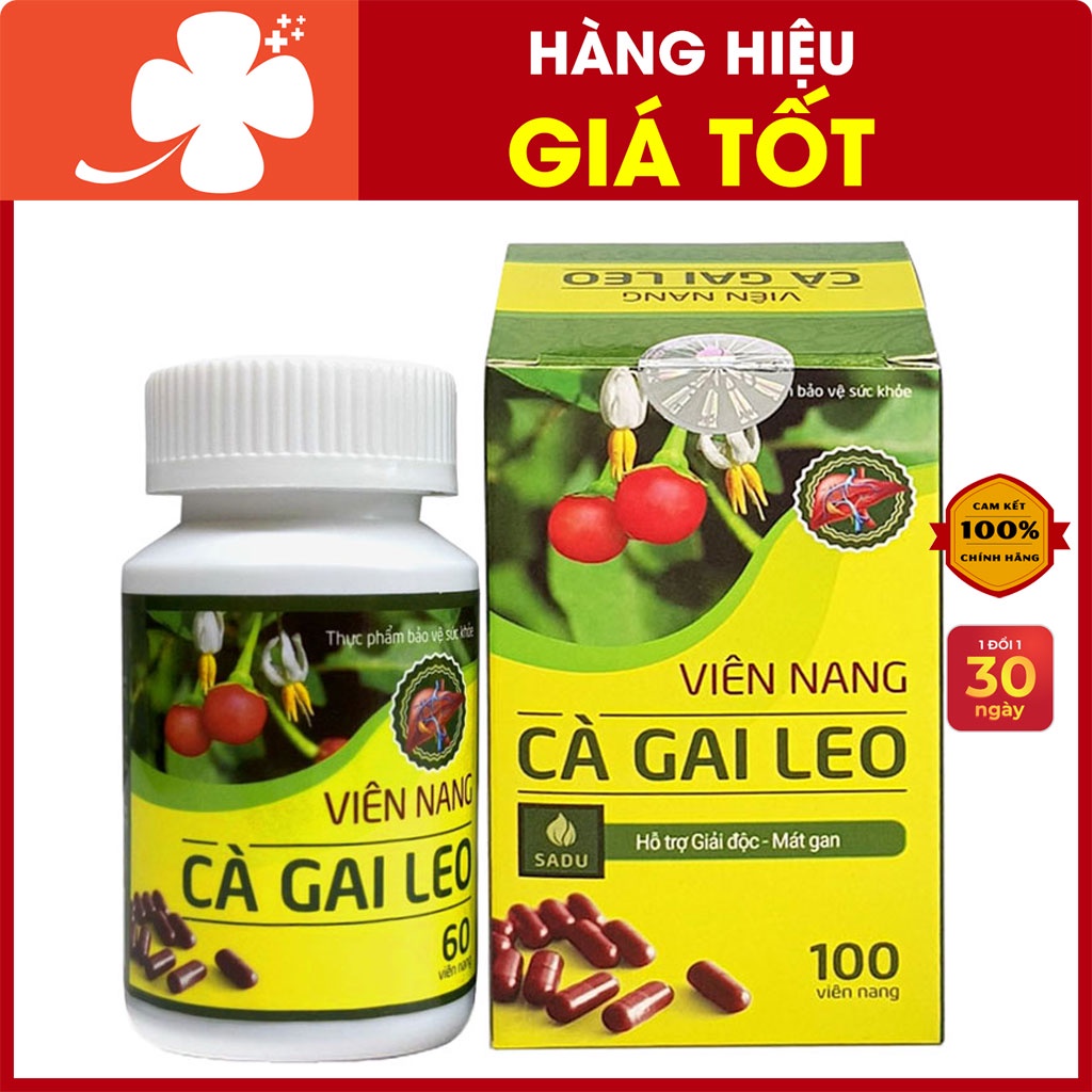 Viên Nang Cà Gai Leo SADU - Hỗ trợ tăng cường chức năng gan trong viêm gan, xơ gan, gan nhiễm mỡ