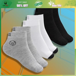 Combo 5 đôi vớ cổ thấp - Combo 5 đôi vớ dễ thương -Tiện Dụng Phù hợp cho mọi người
