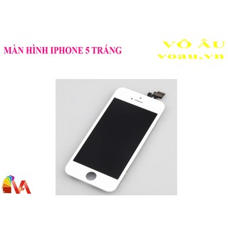 Màn hình iphone 5 màu trắng