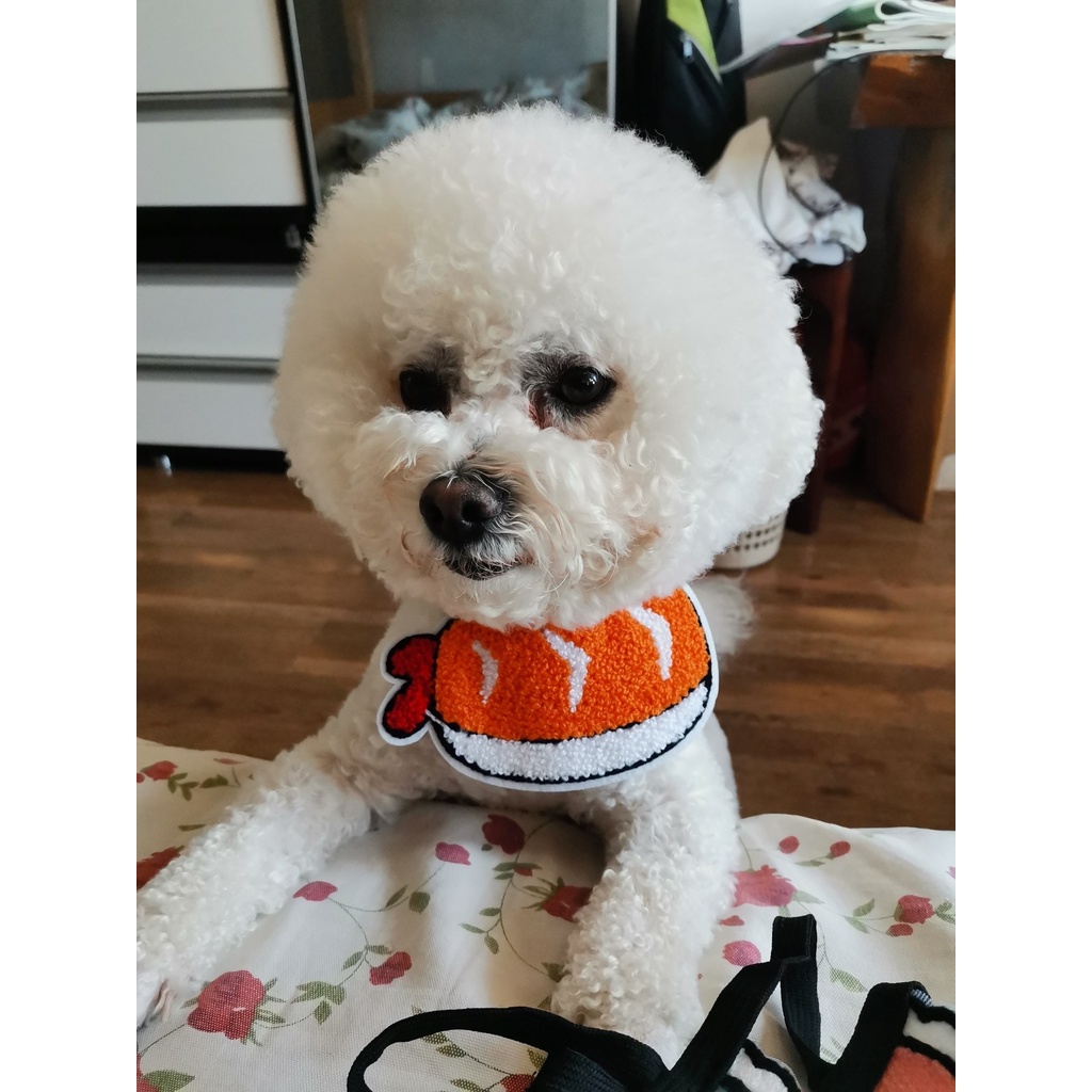 Vòng cổ yếm phong cách Hàn Quốc dễ thương đáng yêu dành cho mèo cưng