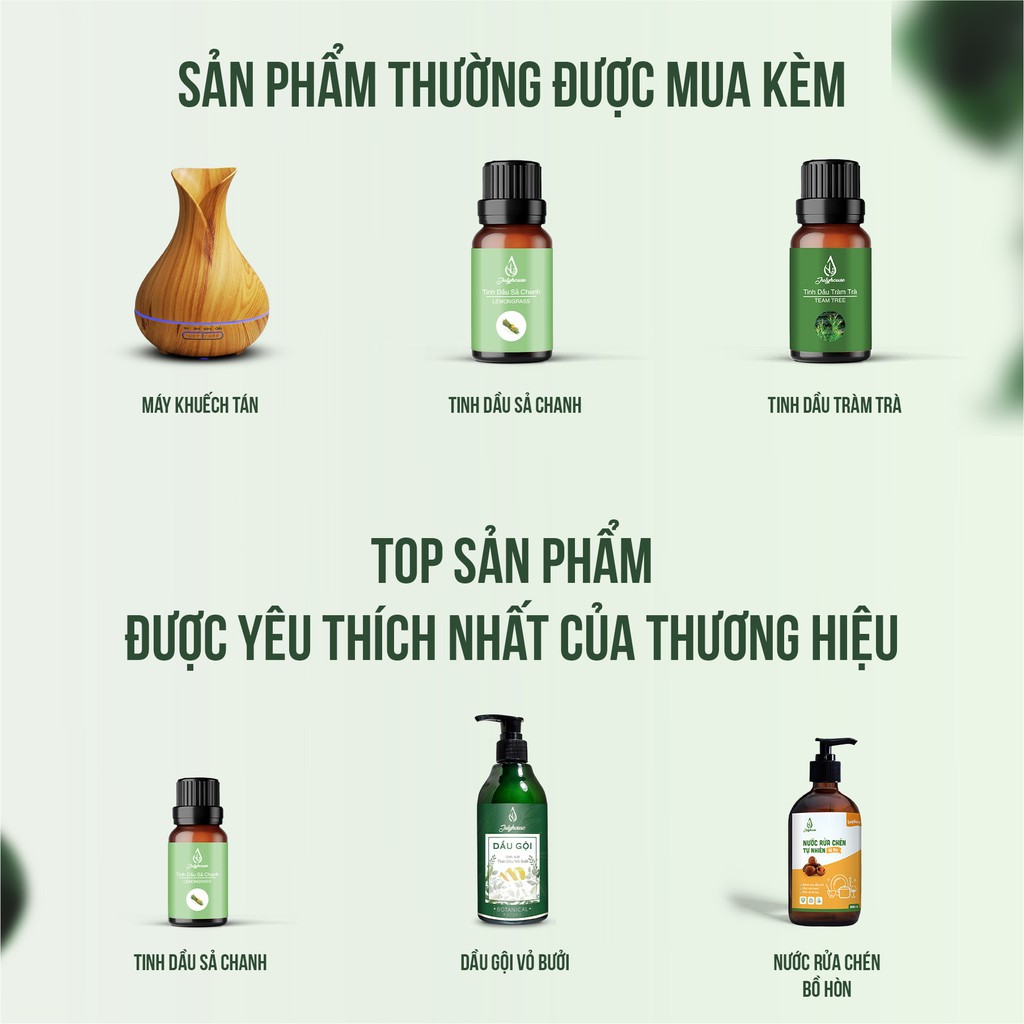 Tinh dầu Hương Thảo 10ml JULYHOUSE