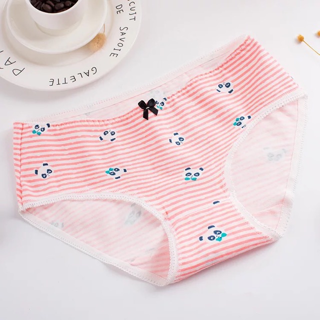 HỘP 04 QUẦN LÓT COTTON CHẤT ĐẸP (QL0024) | BigBuy360 - bigbuy360.vn