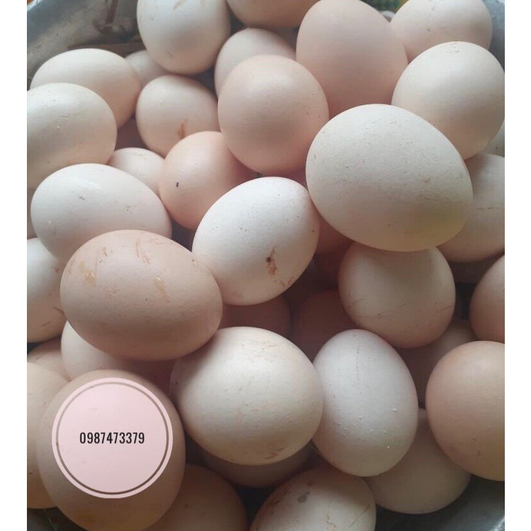 Trứng gà, trứng vịt tươi, mới, ngon hàng ngày