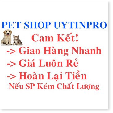 [Mã giảm giá] SỮA TẮM CHO CHÓ Bio Derma Trị Ghẻ và Nấm Da Gây Nên Triệu Chứng Hôi Lông Rụng Lông Chai 450ml Xuất xứ Việt