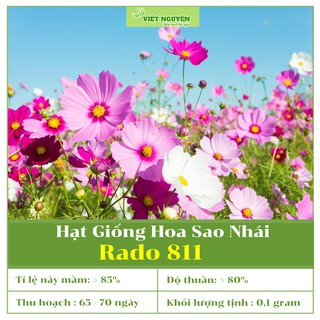 Hạt Giống Hoa Sao Nhái Nhiều Màu RD 811 Dễ Trồng Và Chăm Sóc Nhanh Cho Hoa Và Dễ Nhân Giống [0,1 gram]