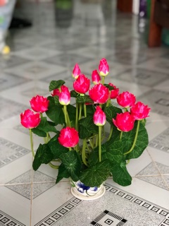 Sen nhỏ (vải lụa)
