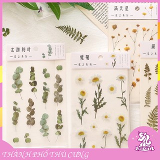 Sticker hình hoa lá khô trang trí sổ và quà tặng handmade