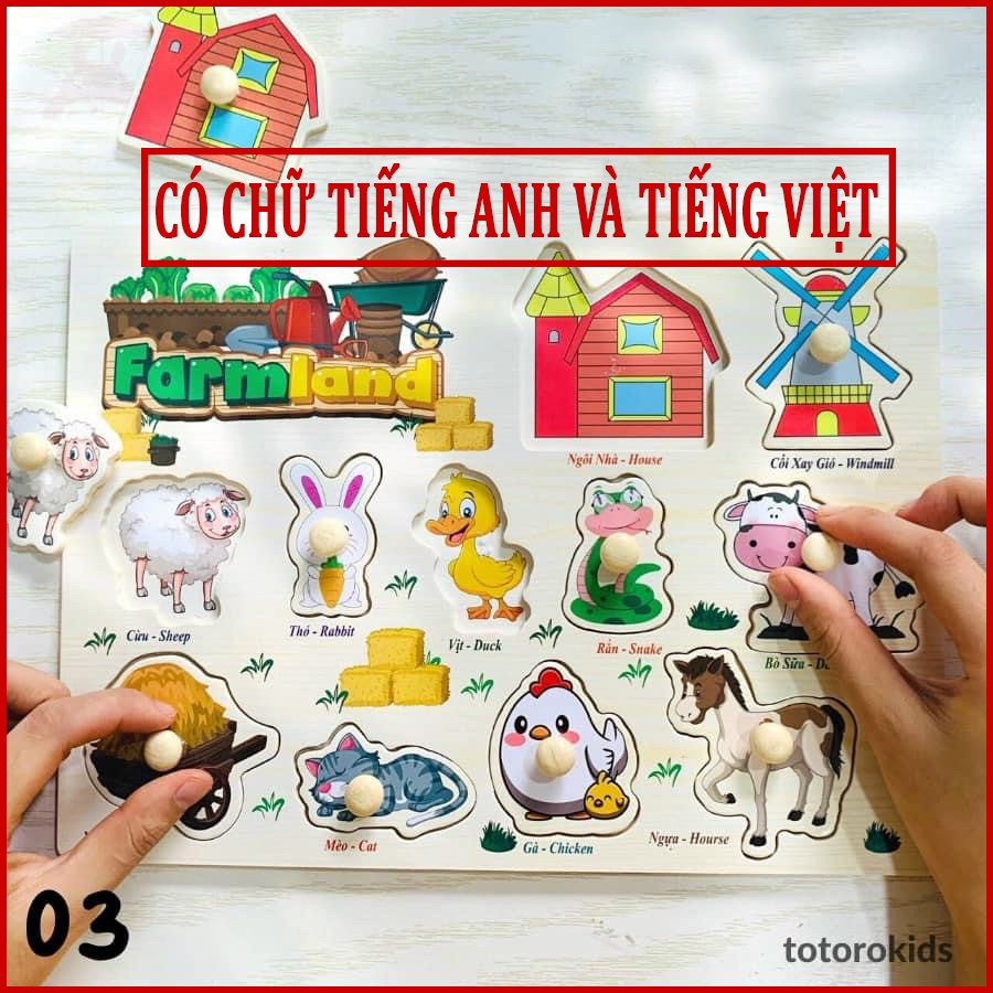 Bảng núm gỗ CÓ chữ TIẾNG VIỆT và TIẾNG ANH nhiều chủ đề