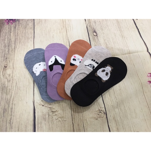 Com bo 5 đôi tất hài nữ hình nghộ nghĩnh sợi cottong  kháng khuẩn chống hôi chân