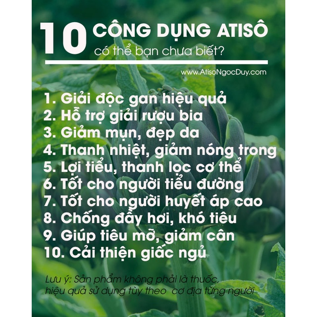 Trà Atiso Sao Vàng  - Date T1/2024