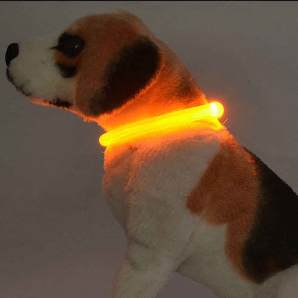 [COD] Vòng Cổ An Toàn Có Đèn Phát Sáng Dành Cho Thú Cưng Cỡ Nhỏ / Vừa / Lớn