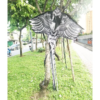 Diều Thả Hắc Điêu Dài 230cm Kèm Cuộn Dây
