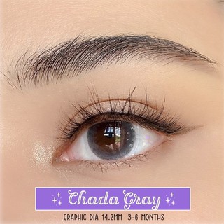 Kính Áp Tròng CHADA GRAY - BROWN ( contact lens )