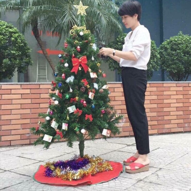 Cây thông Noel | BigBuy360 - bigbuy360.vn