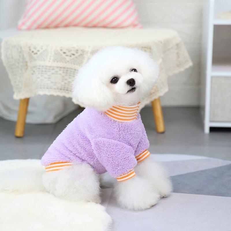 Quần áo chó mèo thú cưng: Áo nỉ lông họa tiết thỏ carot