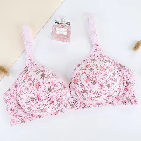 Áo Lót Bà Bầu, Áo Ngực Cho Con Bú Sau Sinh Chống Chảy Xệ - Hàng Quảng Châu Cao Cấp