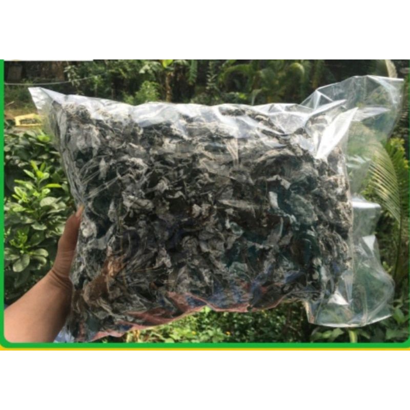 3 Ký bột lá gai nguyên chất 100%