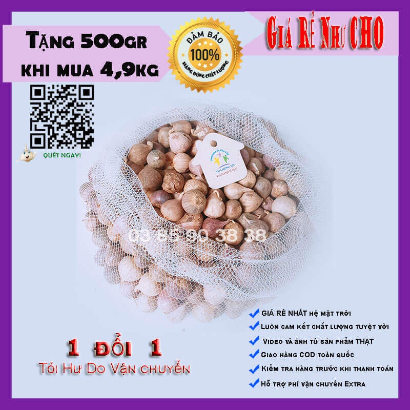 100 Gr Tỏi Cô Đơn mồ côi 1 Nhánh NGON ĐẸP, Chắc Củ, Bón Phân Sinh Học, An Toàn cho sức khỏe