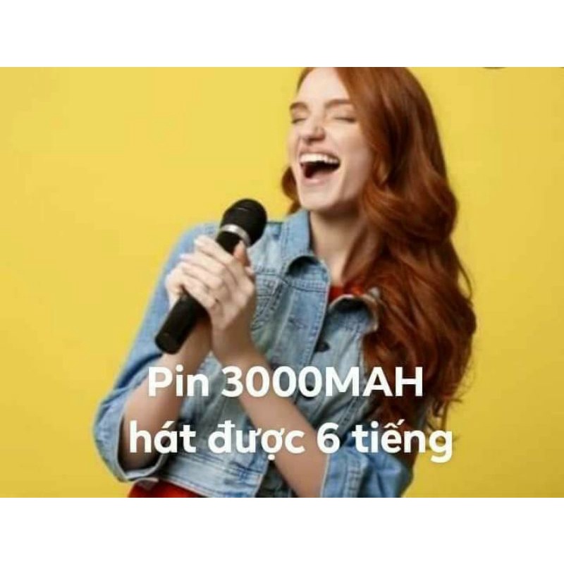 Pin sạc AA 3000 chính hãng BESTON kèm sạc, BẢO HÀNH 1 NĂM | pin Mic không dây, máy ảnh, điều khiển