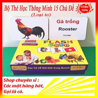 Thẻ Học Thông Minh 15 Chủ Đề Loại To Song Ngữ Tiếng Anh Loại Chuẩn Glenn Doman Flashcard Cho Bé Từ 0-6 Tuổi có video