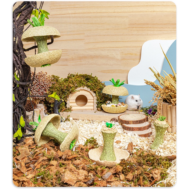 Bát ăn quả táo gặm dở Carno cho hamster