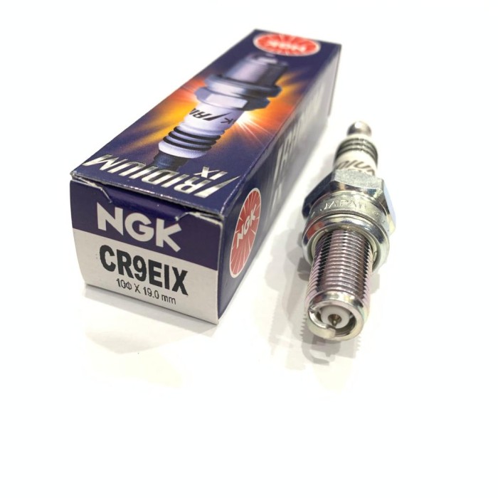 Bugi Đánh Lửa Chuyên Dụng Ngk Iridium R15 R25 Ninja 250 Satria Fu Nmax Cr9Eix Nhật Bản