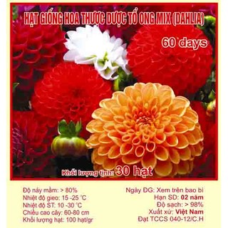 Hạt giống hoa thược dược tổ ong