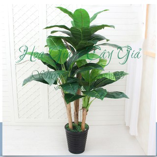 Cây Giả - Bụi Cây Chuối Cảnh 3 Cây