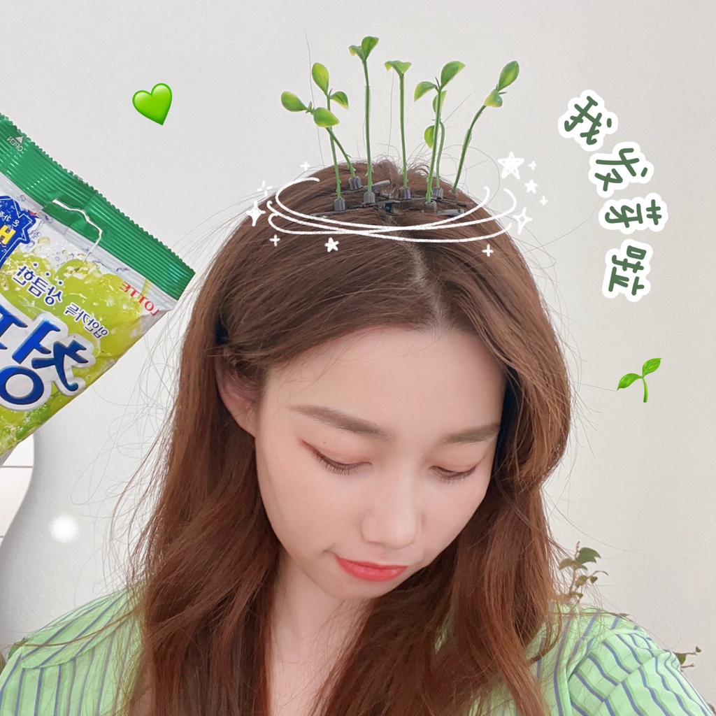 kẹp Tóc Dễ Thương Hình Dạng Cỏ Phụ Kiện Thời Trang Cho Nữ AB077