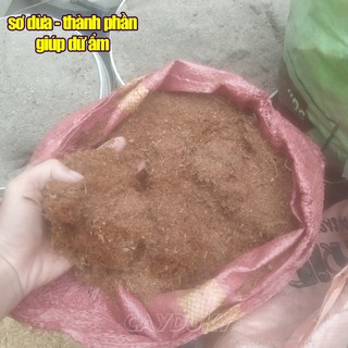 1 kg đất sạch trồng cây cảnh mini (Hỗn hợp đất trộn TRIBAT trồng rau sạch trong chậu)