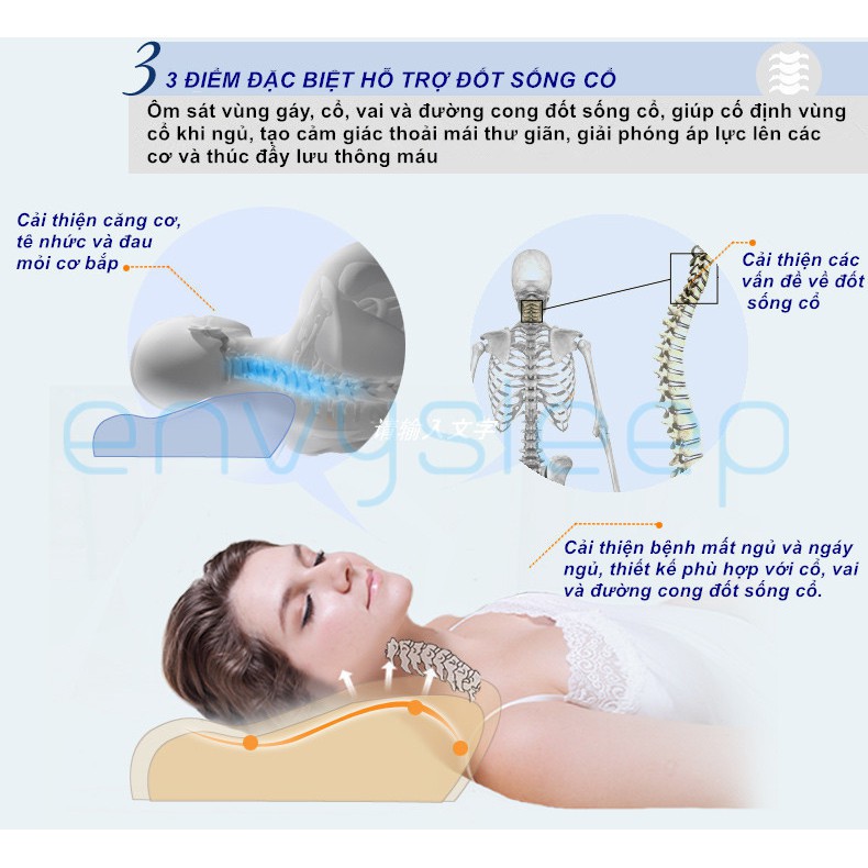 Gối nằm cao su non Envysleep giúp nâng đỡ vai gáy, hỗ trợ giảm gáy ngủ, ngang 50 cm