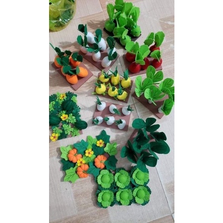 Combor 10 vủ rau củ nỉ