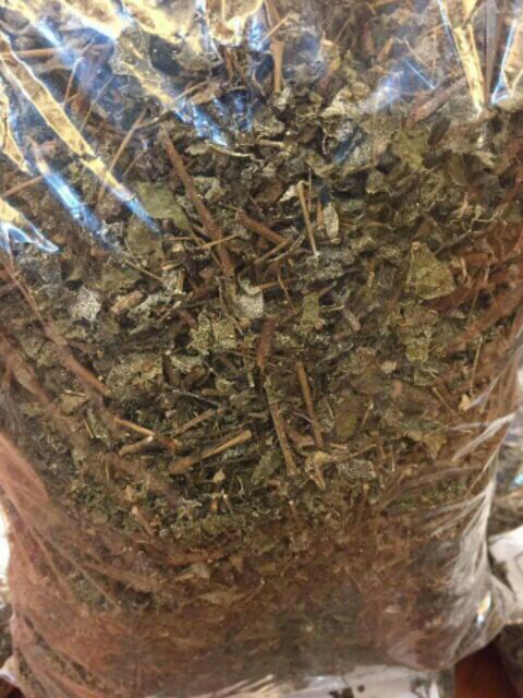 Chè dây Sa Pa 1 kg trị viêm loét dạ dày