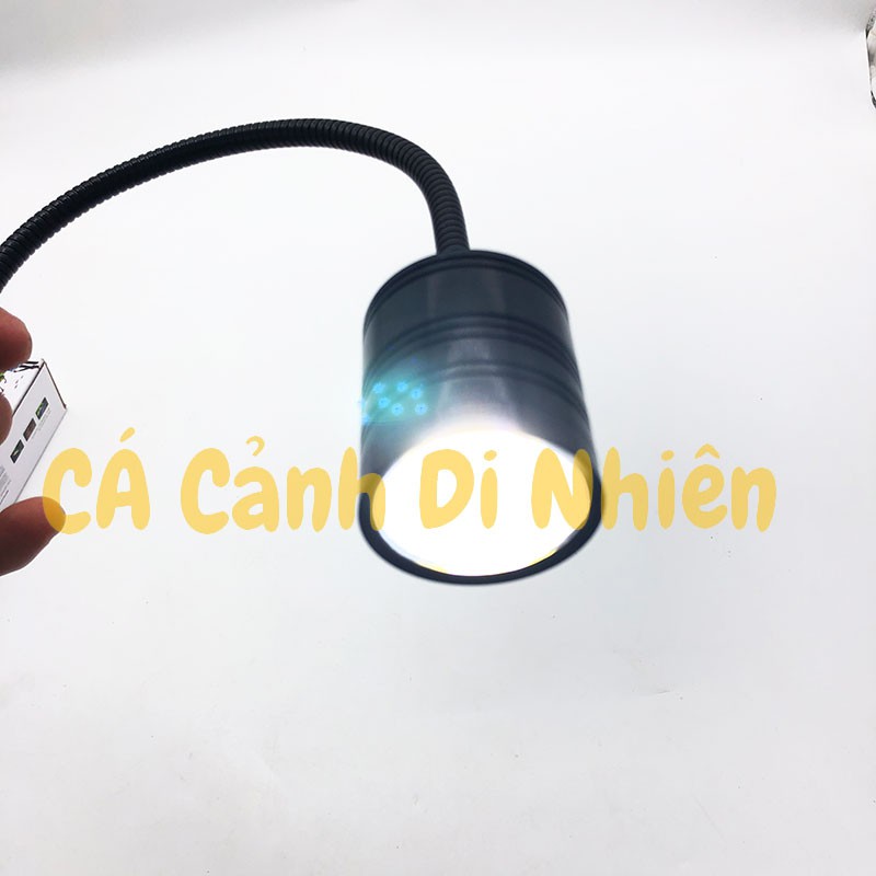 Đèn led thủy sinh kẹp thành rọi hồ cá BIOTOP E-230 5W
