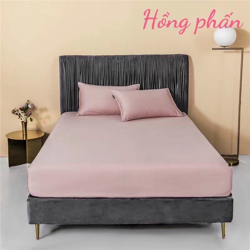 Ga gối cotton lụa 60s kèm vỏ gối