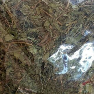 500gr trà cỏ ngọt đà lạt