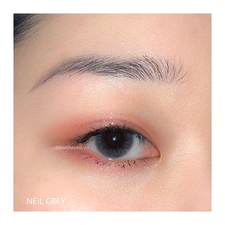 Lens neil grey