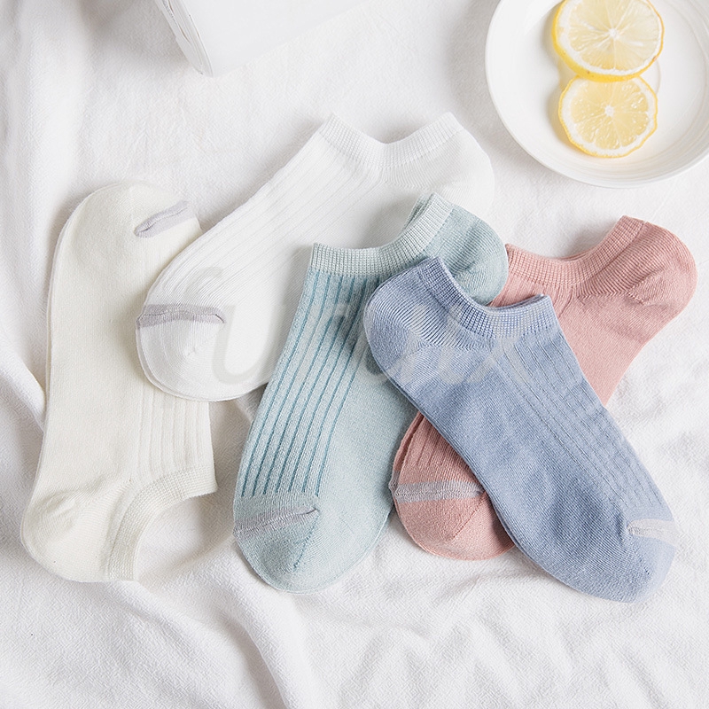Vớ cotton 5 màu đơn giản