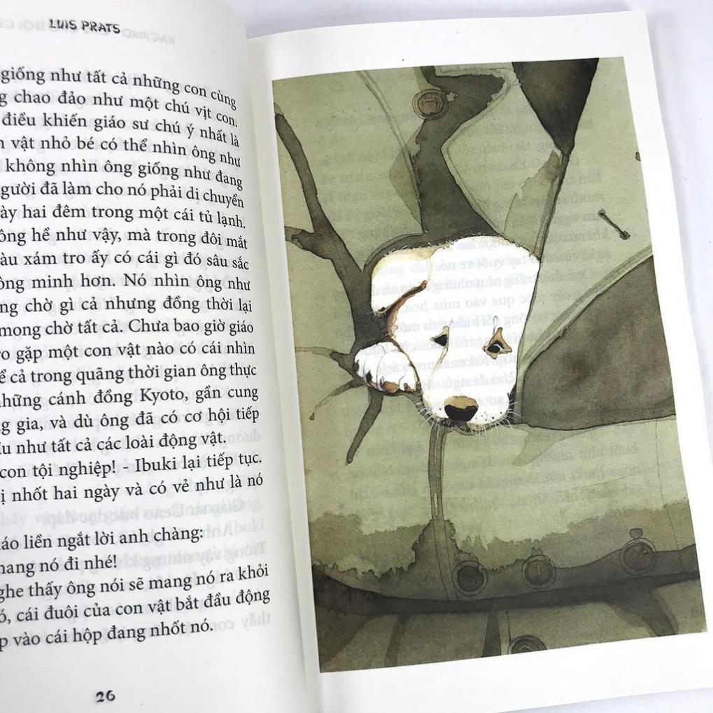 Sách - Cuốn tiểu thuyết làm rung động hàng triệu con tim trên thế giới - Hachiko - Chú chó đợi chờ - NXB Kim Đồng