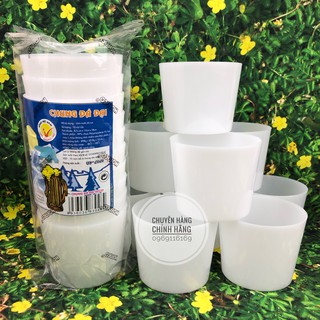 CHUNG ĐÁ ĐẠI HOFACO HPL29