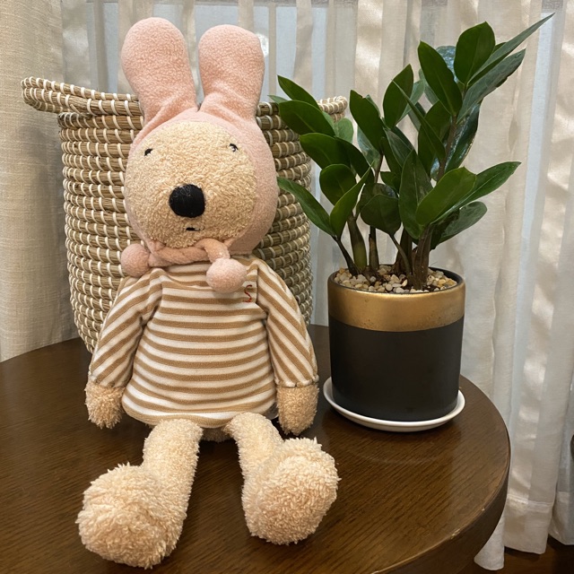 Thỏ Bunny Home vừa 40cm