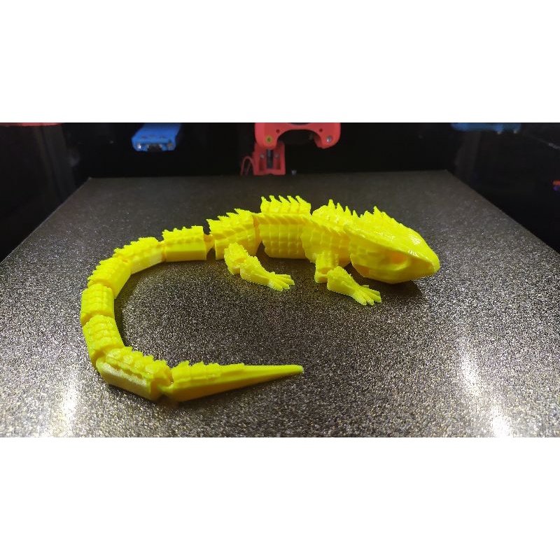 Thằn lằn Red-Eyed Crocodile Skink