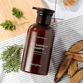 Cặp dầu gội xả trị gàu Innisfree Anti Dandruff Shampoo