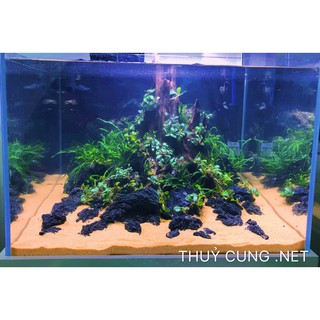 500g Cát nắng vàng loại 1 Thủy Cung