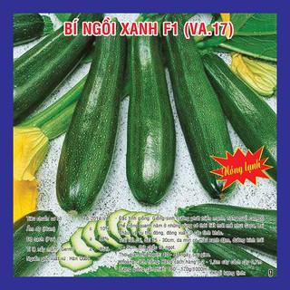 Hạt giống Bí Ngồi Xanh F1 (VA.17)