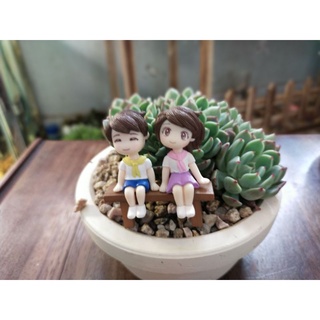 Tiểu cảnh ❤️ Cặp đôi Phụ Kiện Tiểu Cảnh terrarium