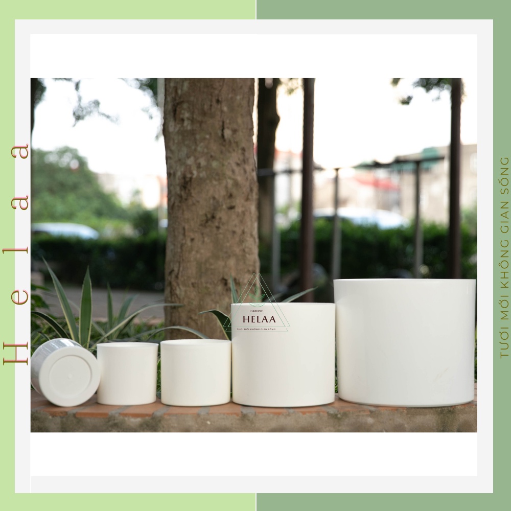 Chậu Nhựa Giả Sứ Hình Trụ Tròn, Chậu Nhựa Trồng Hoa, Cây Cảnh Lớn, Sen Đá, Xương Rồng, Trong Nhà ,Sân Vườn - Đủ Size