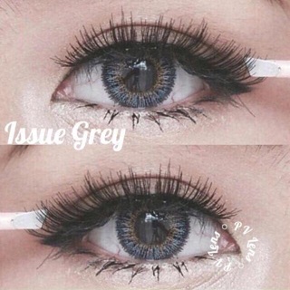 Kính áp tròng - issue gray lens