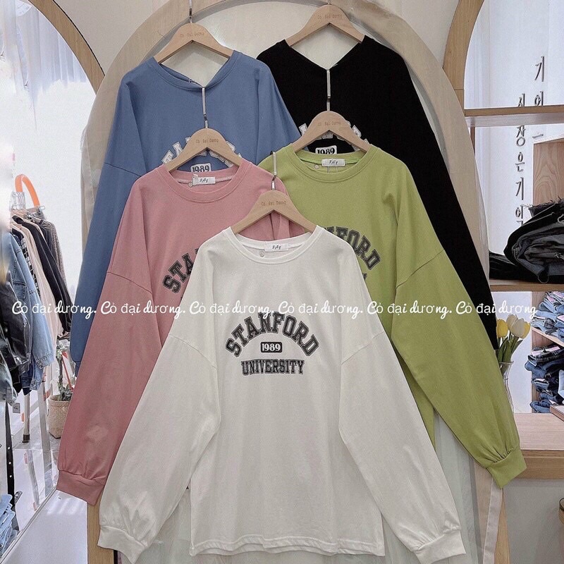 Áo Pull Dài Tay Thun Nữ Thu Đông Stanford Dáng Rộng Đẹp Unisex