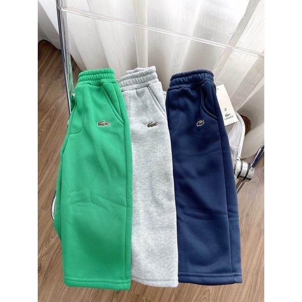 combo 3 quần nỉ thêu cá sấu hàng xuất cho bé
